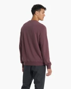 Cypress Crew | Chestnut -Eminem Style V255CHN 01049