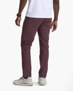 Meta Pant | Chestnut -Eminem Style V430CHN 00431